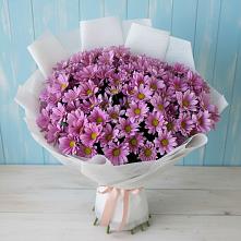 Букет цветов из:  Хризантемы #REPLACE_PRED# Беломечетской