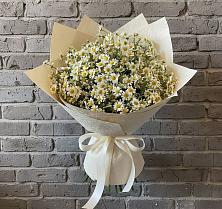 Букет цветов из:  Ромашки #REPLACE_PRED# Беломечетской