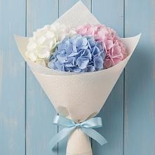 Букет цветов из:  Гортензия #REPLACE_PRED# Беломечетской