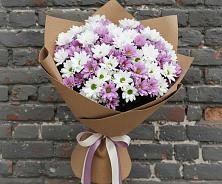 Букет цветов из:  Хризантемы #REPLACE_PRED# Беломечетской