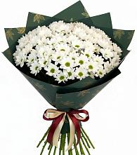 Букет цветов из:  Хризантемы #REPLACE_PRED# Беломечетской