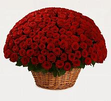 Премиум букет из: Розы в Беломечетской