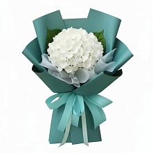 Букет цветов из:  Гортензия #REPLACE_PRED# Беломечетской